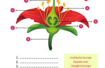 Pelajaran Kelas 6 Ipa Dalchaebi